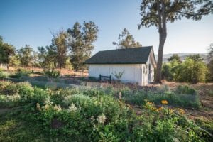 GardenCottage-FrontGarden