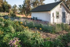 GardenCottage-FrontGarden3