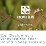 LISTEN: Designing a Vineyard for Year-Round Sheep Grazing with Sustainable Winegrowing / Vineyard Team