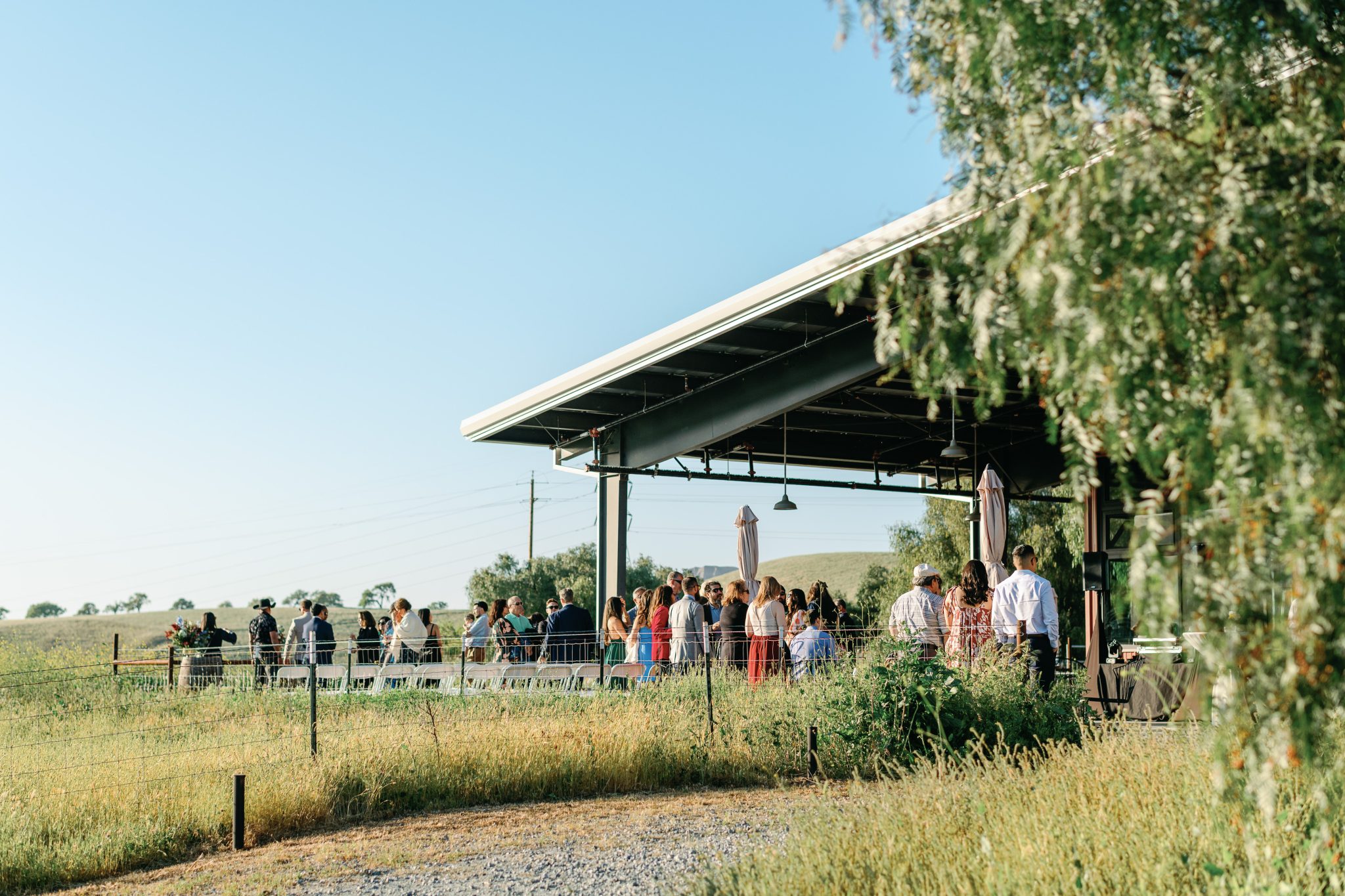 Roxanne &amp; Chris Wedding