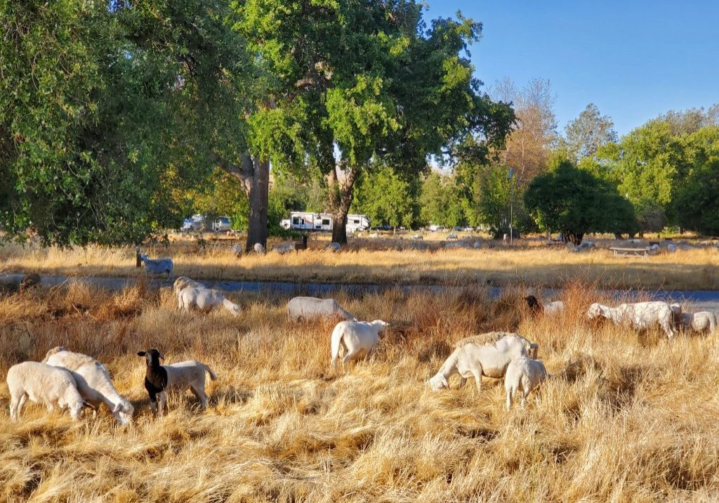 20250520_185010 - Kate Brost (1)