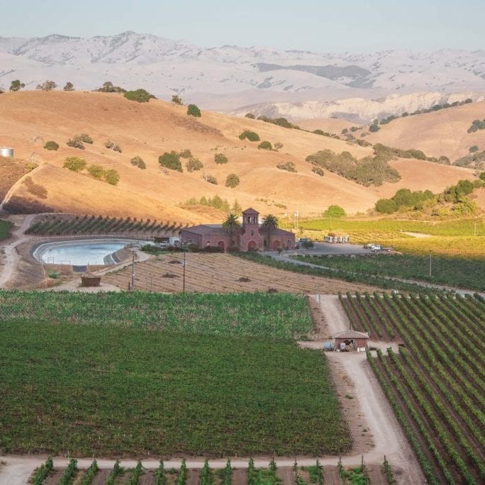 Eden Rift Vineyard Alicia Arcidiacono Photography