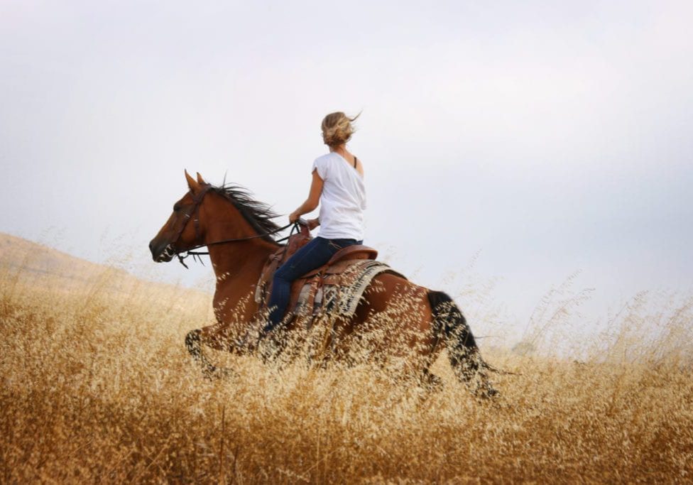 Jessie Maier shepherding on horseback.