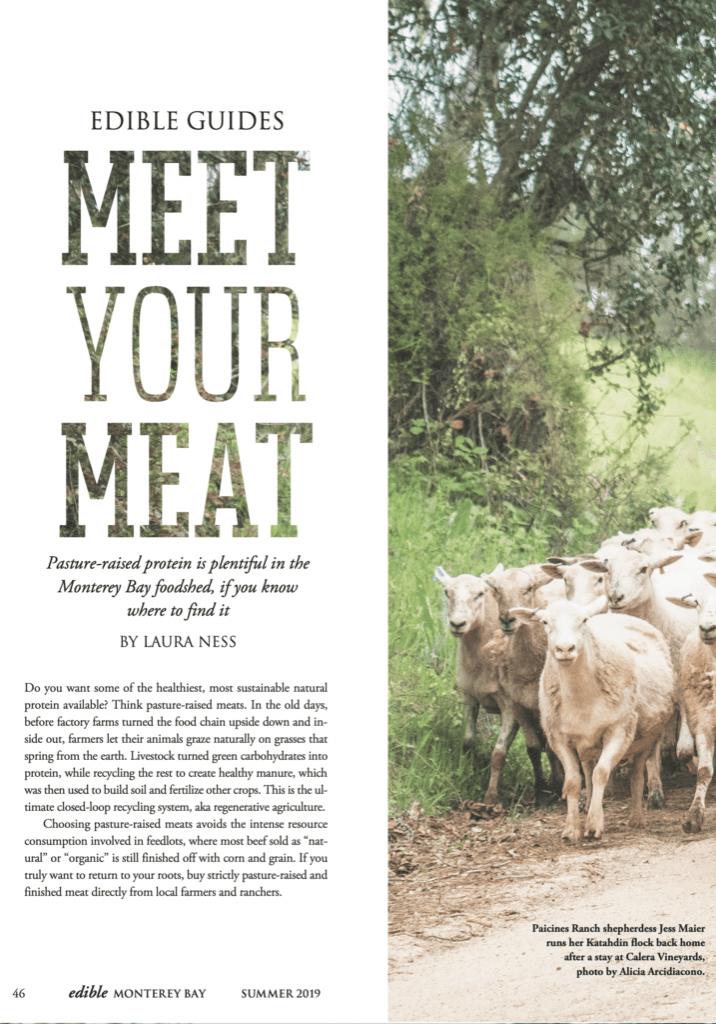 Screen Shot 2020-09-24 at 7.16.44 PM