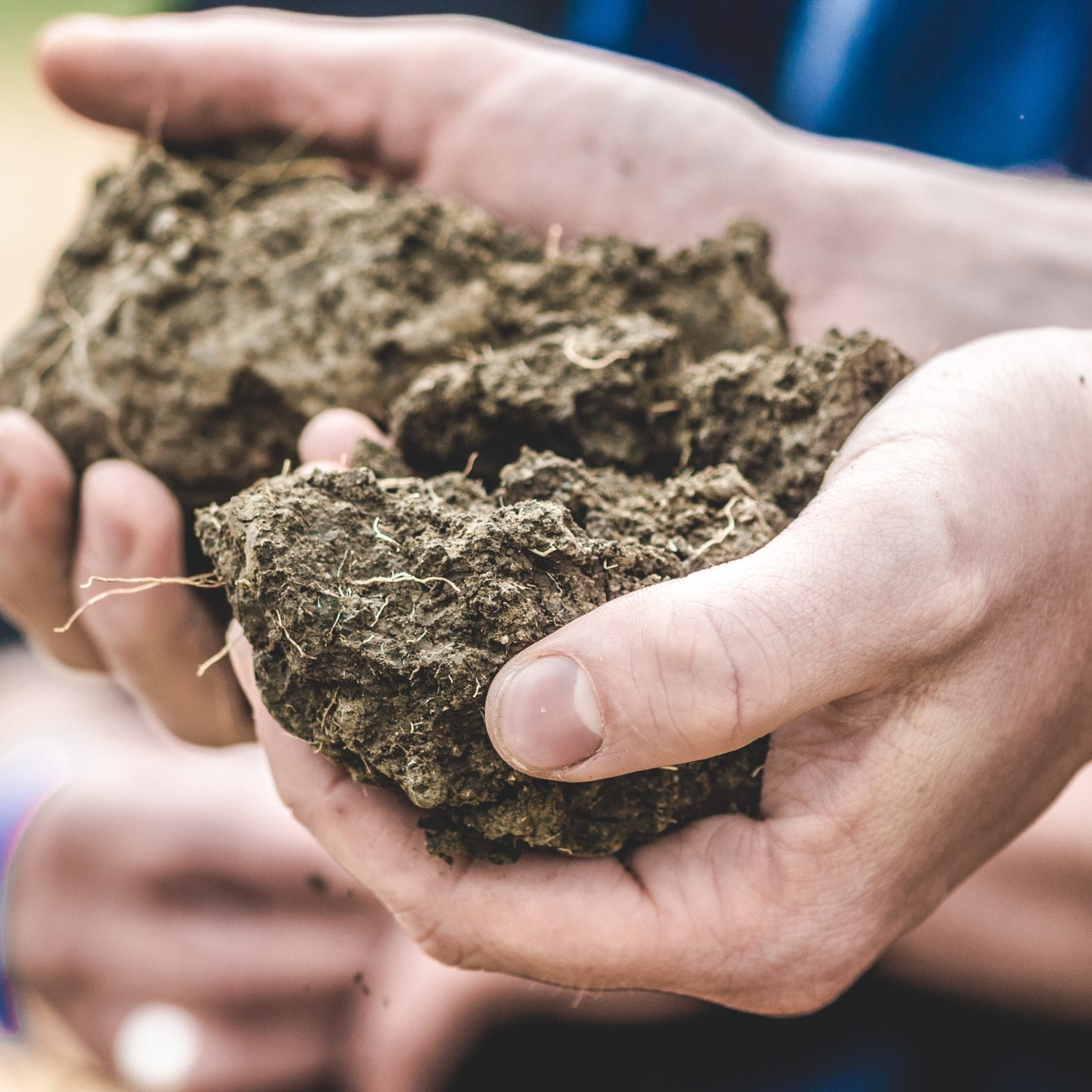 Soil at Paicines Ranch Learning Center Workshop