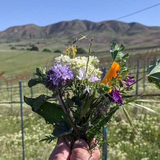 vineyard-bouquet-greg